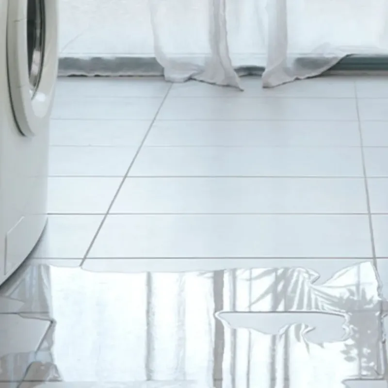 Appliance Leak Cleanup in Wilton, IA