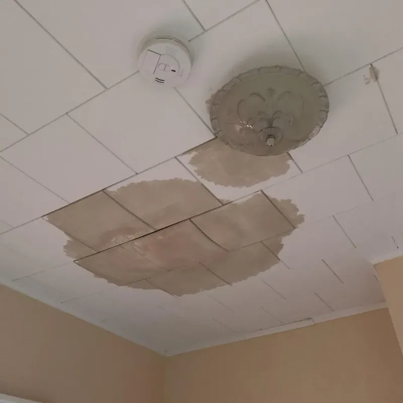 Ceiling Water Damage Repair in Wilton, IA