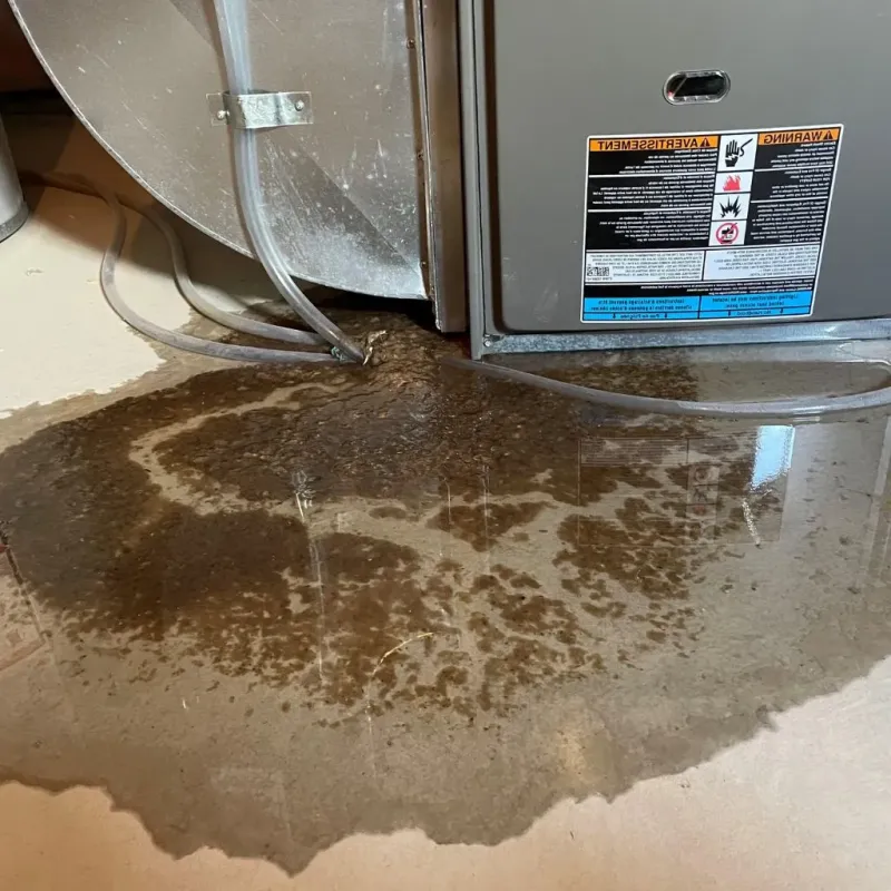 Pipe Burst and Leak Restoration in Wilton, IA
