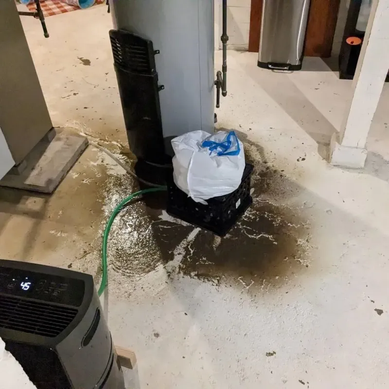 Sewage Backup Cleanup Service in Wilton, IA